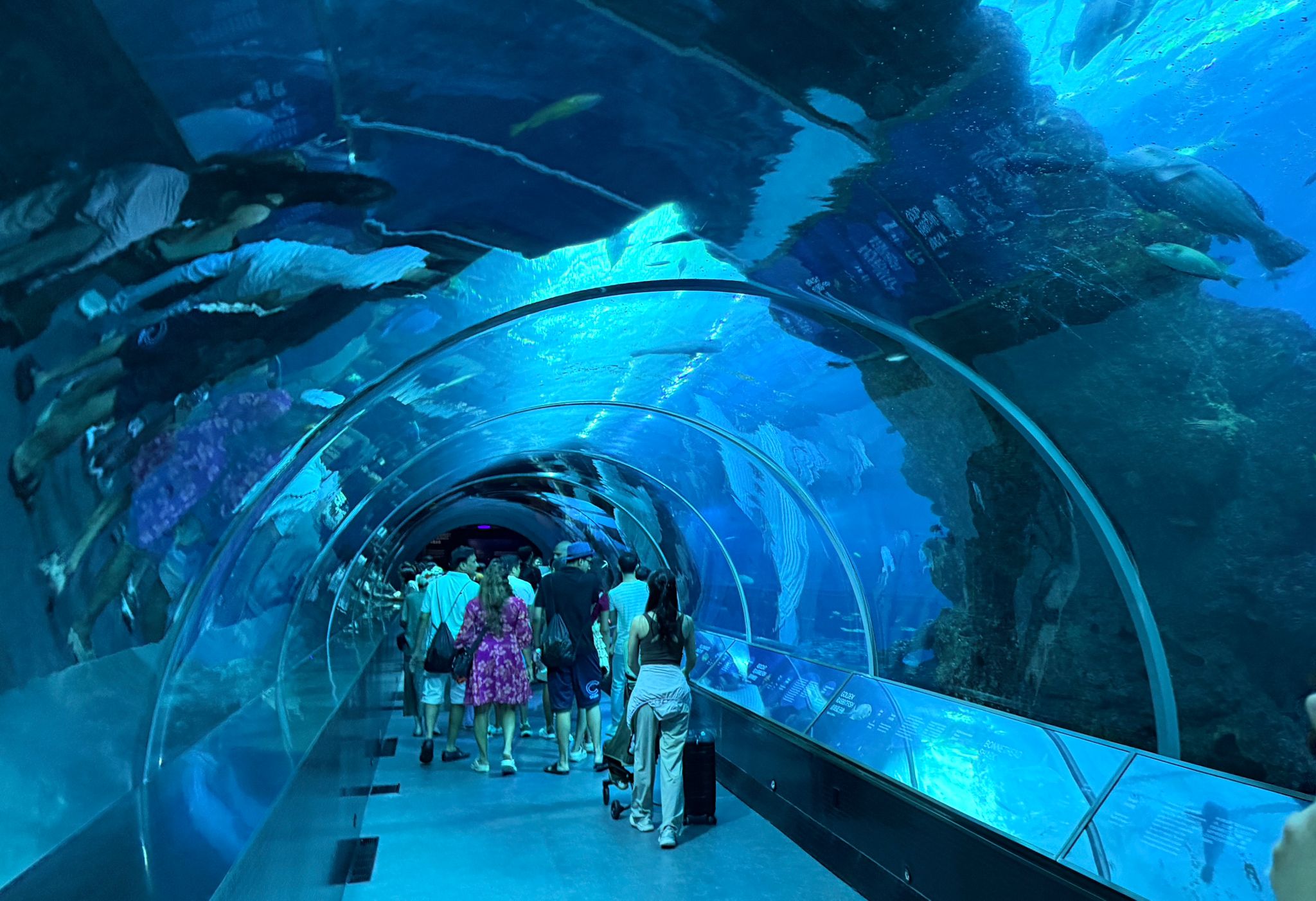 Oceanaquarium