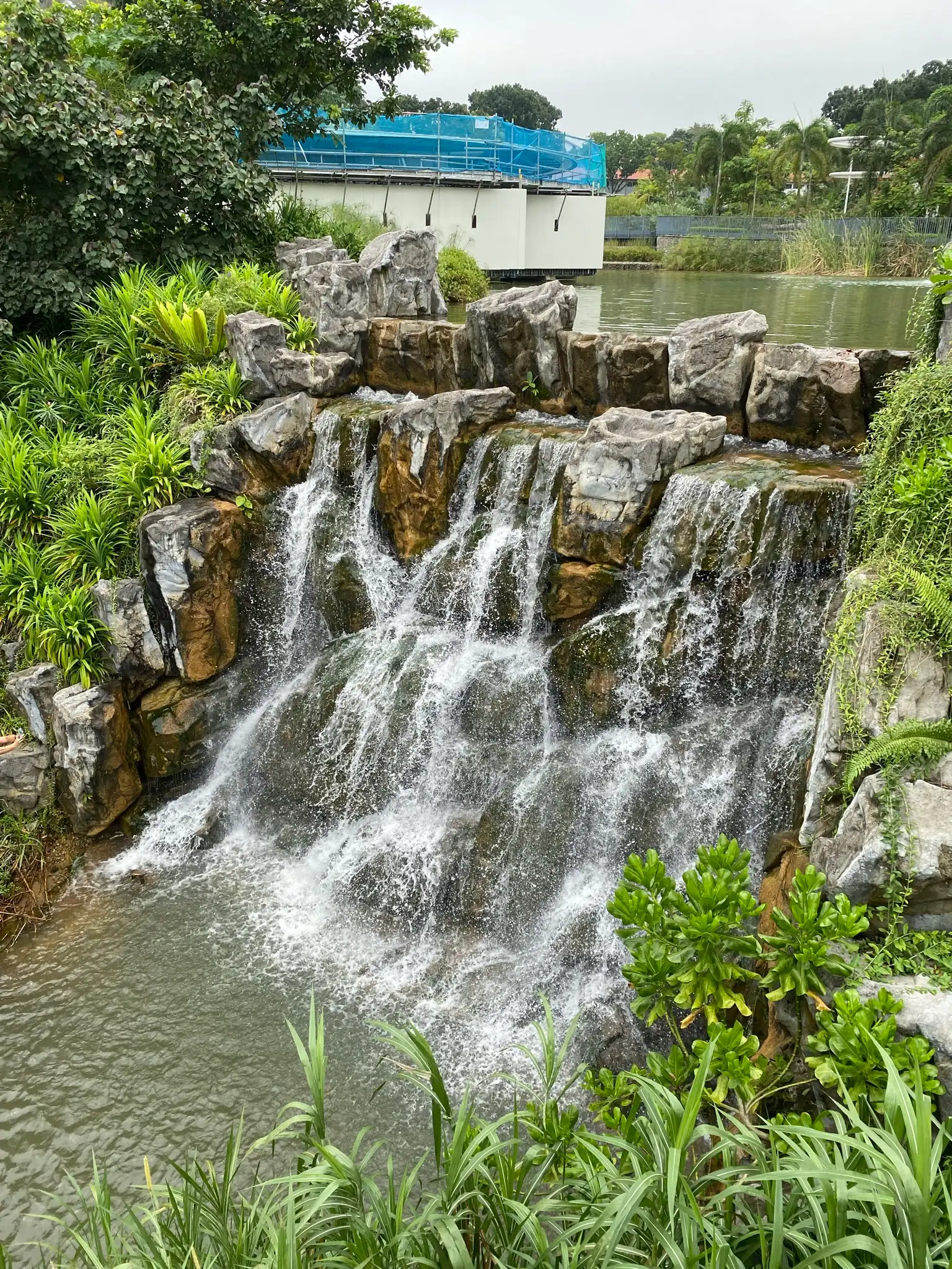 NTU Yunnan Garden